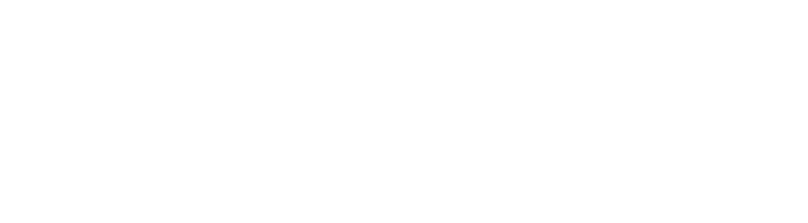 Standex logo large for dark backgrounds (transparent PNG)