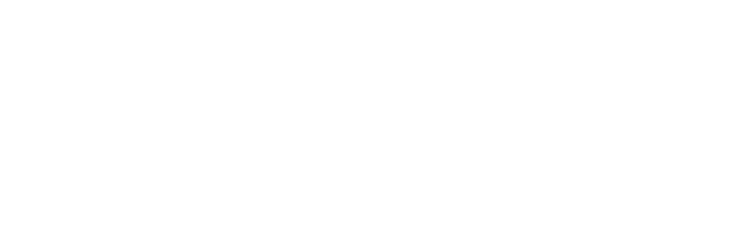 The Bancorp
 logo large for dark backgrounds (transparent PNG)