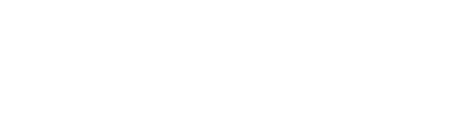 Transaction Capital logo large for dark backgrounds (transparent PNG)