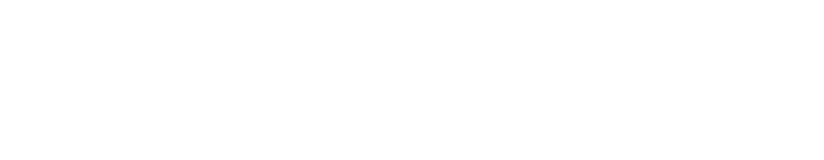 TransDigm logo large for dark backgrounds (transparent PNG)