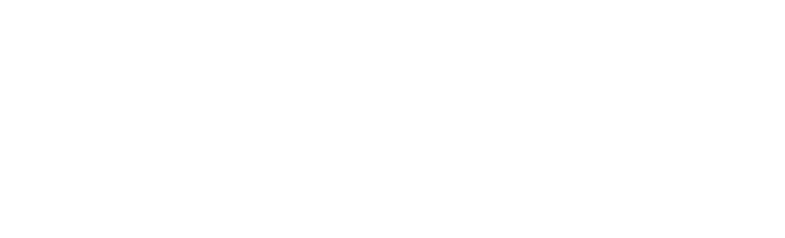 TFI International logo large for dark backgrounds (transparent PNG)