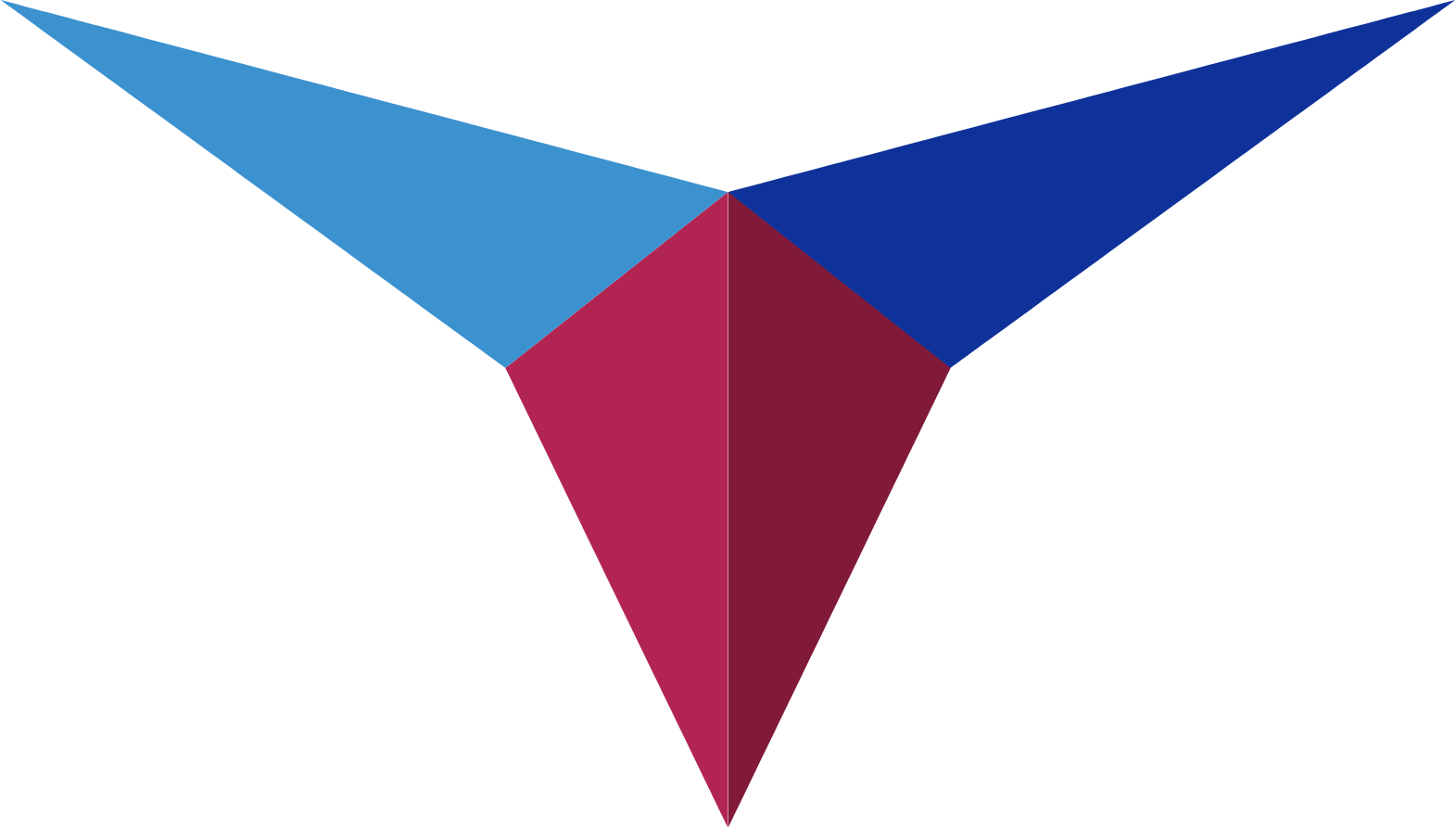 Triumph Group
 Logo (transparentes PNG)