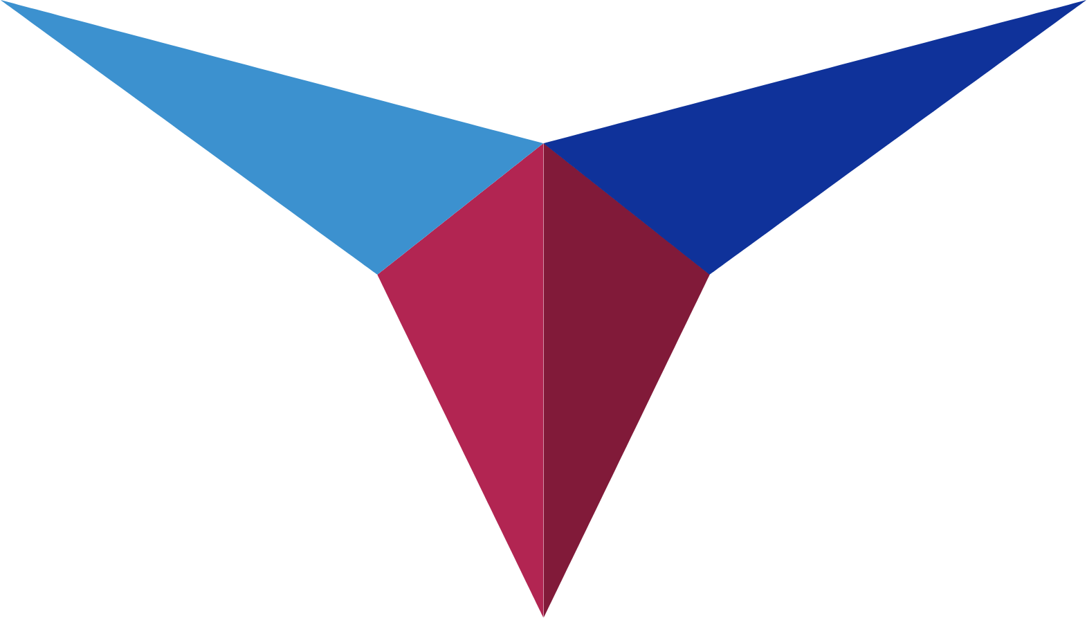 Triumph Group
 logo (transparent PNG)