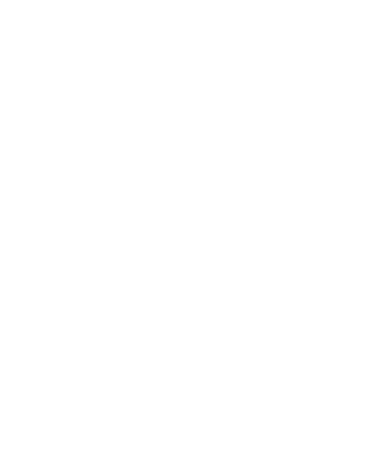Zeal Network
 Logo für dunkle Hintergründe (transparentes PNG)