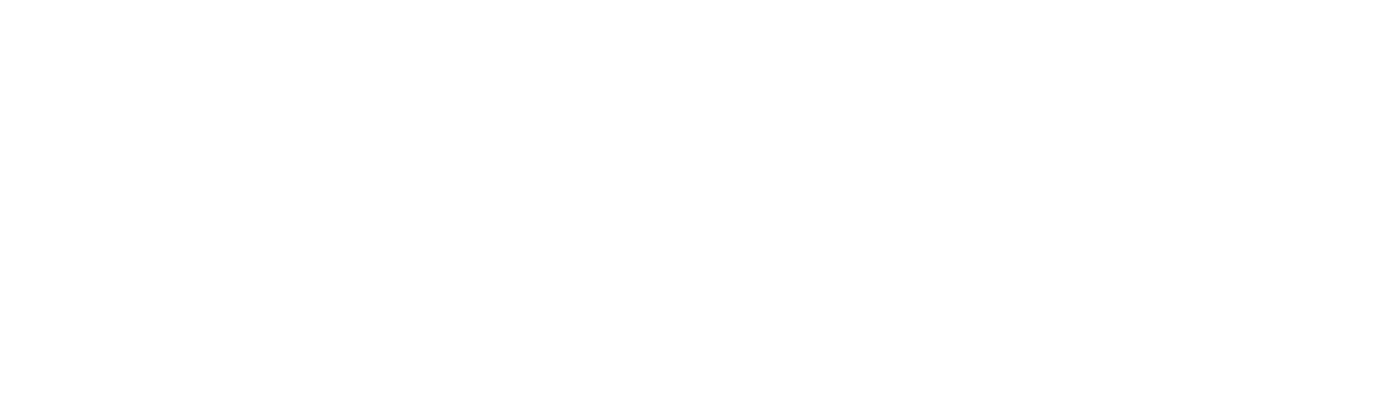 Zeal Network
 logo large for dark backgrounds (transparent PNG)