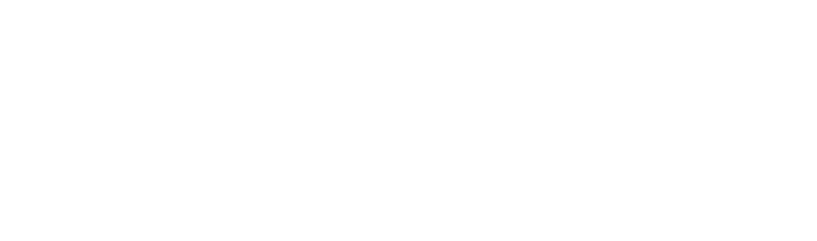 Team Inc logo large for dark backgrounds (transparent PNG)
