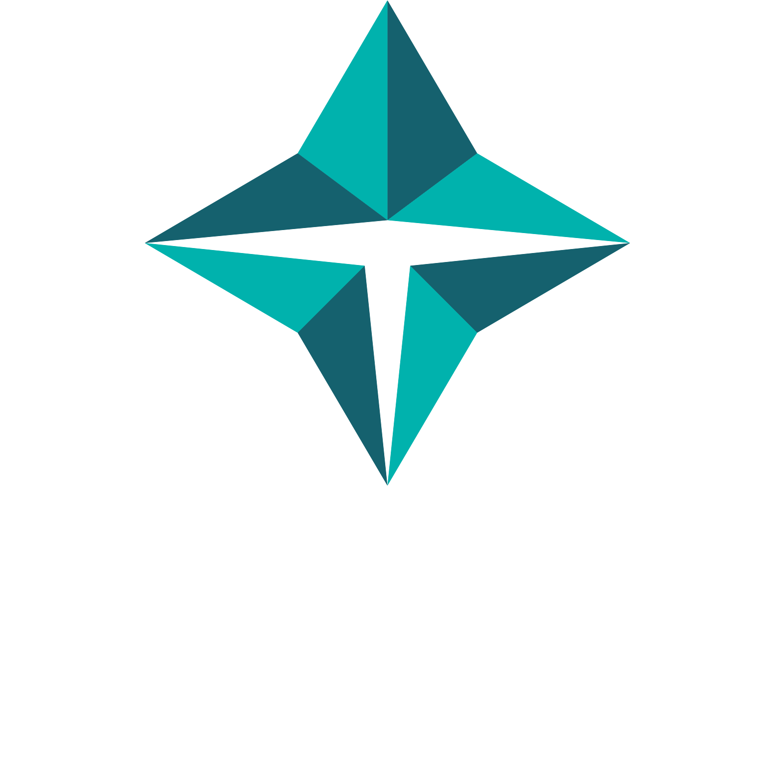 Titan Company logo grand pour les fonds sombres (PNG transparent)