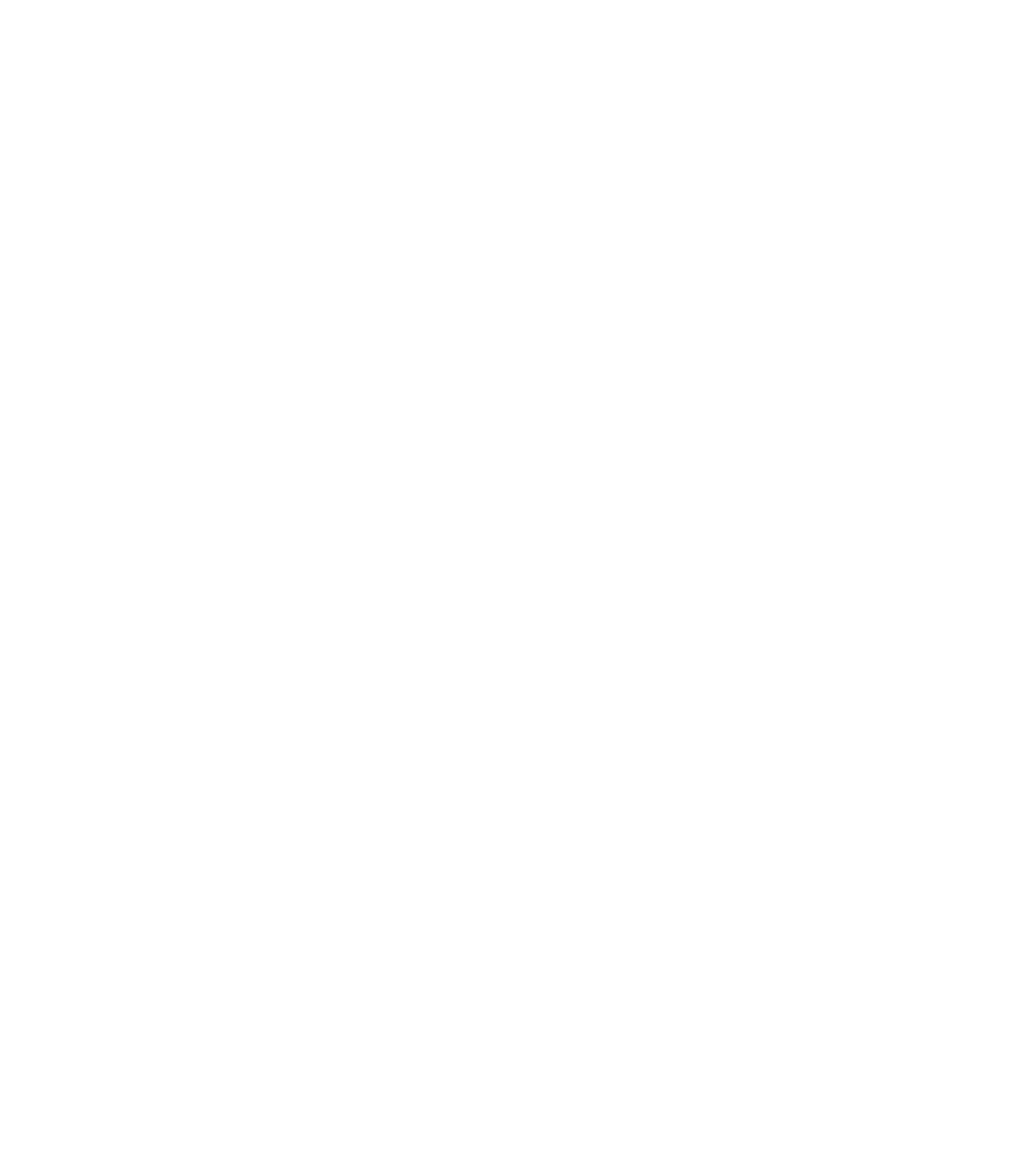 Tenaga Nasional
 logo pour fonds sombres (PNG transparent)
