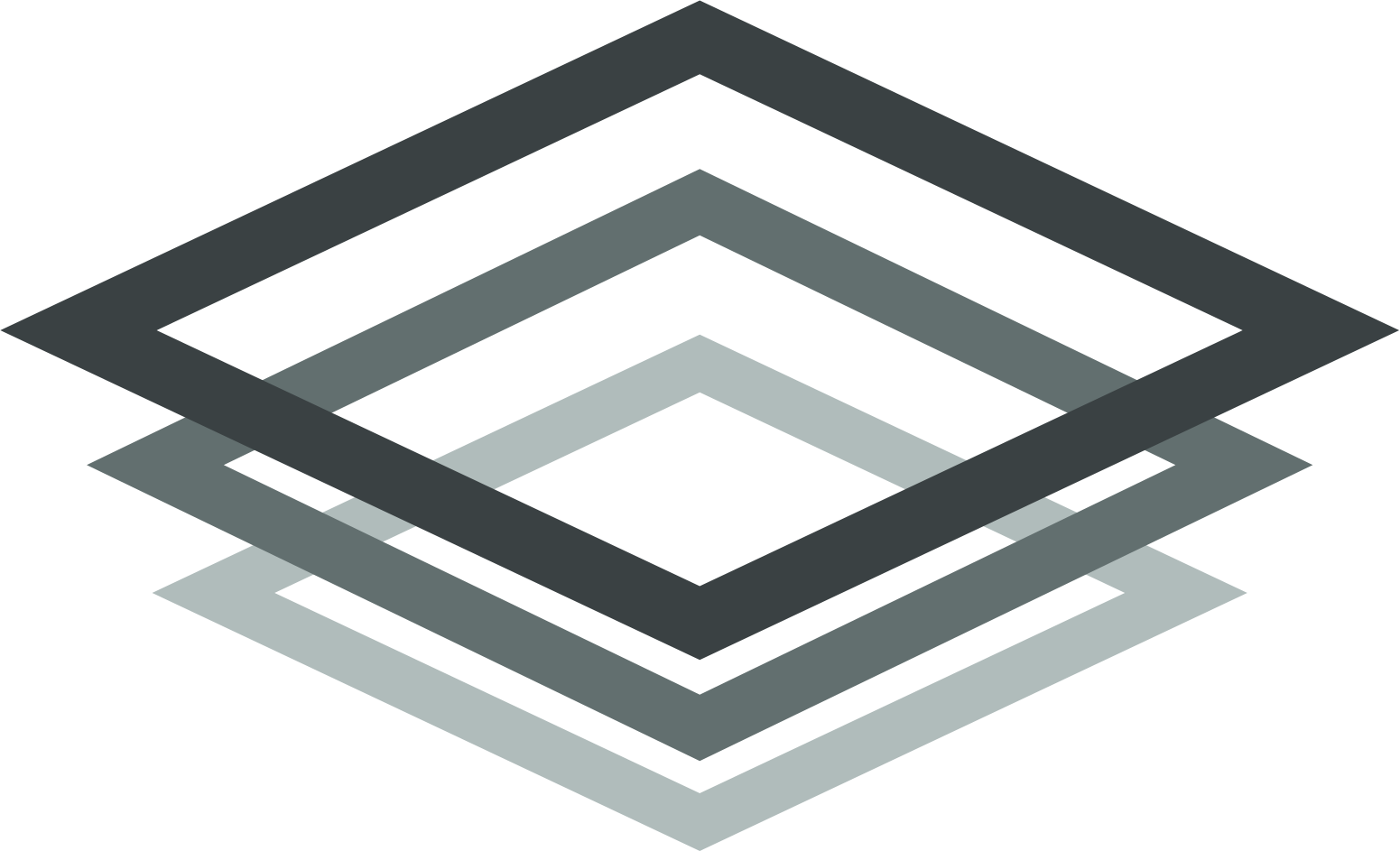 The Platform Group logo (PNG transparent)