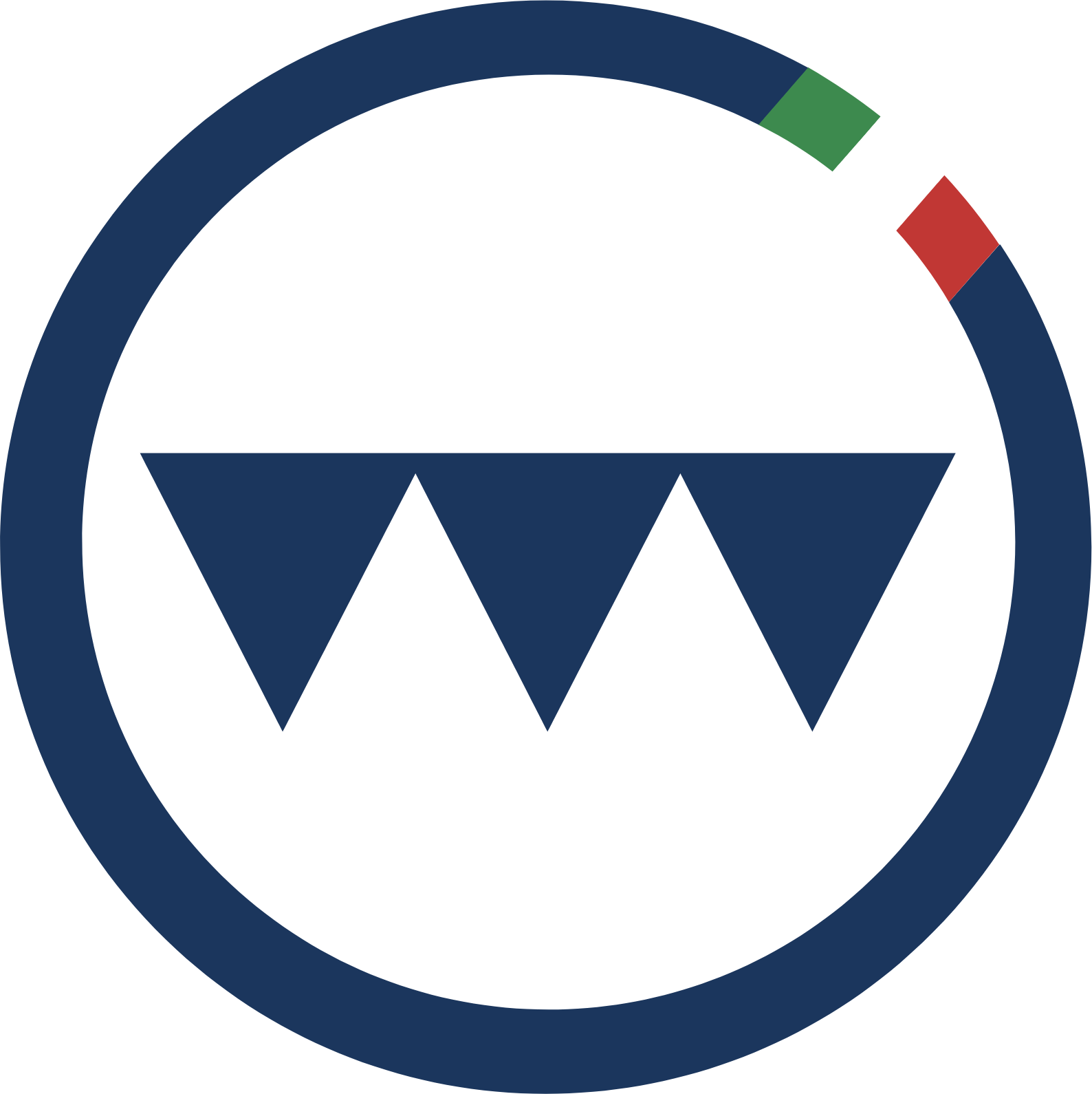 Technoprobe Logo (transparentes PNG)