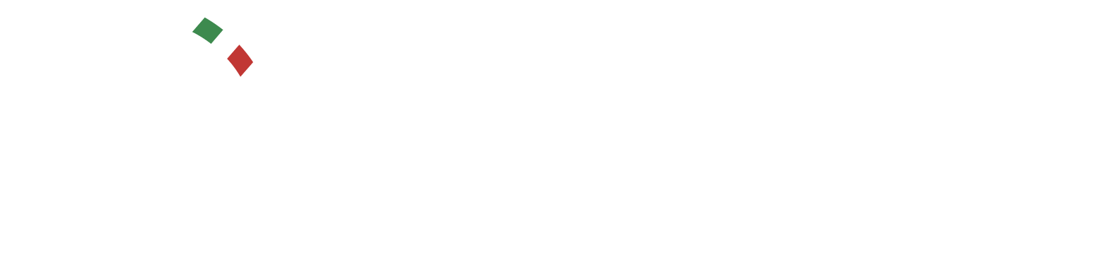 Technoprobe logo large for dark backgrounds (transparent PNG)