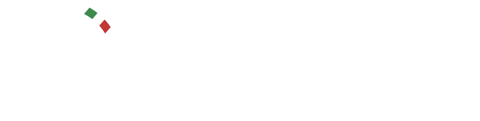 Technoprobe logo fulle size on a dark background (transparent PNG)