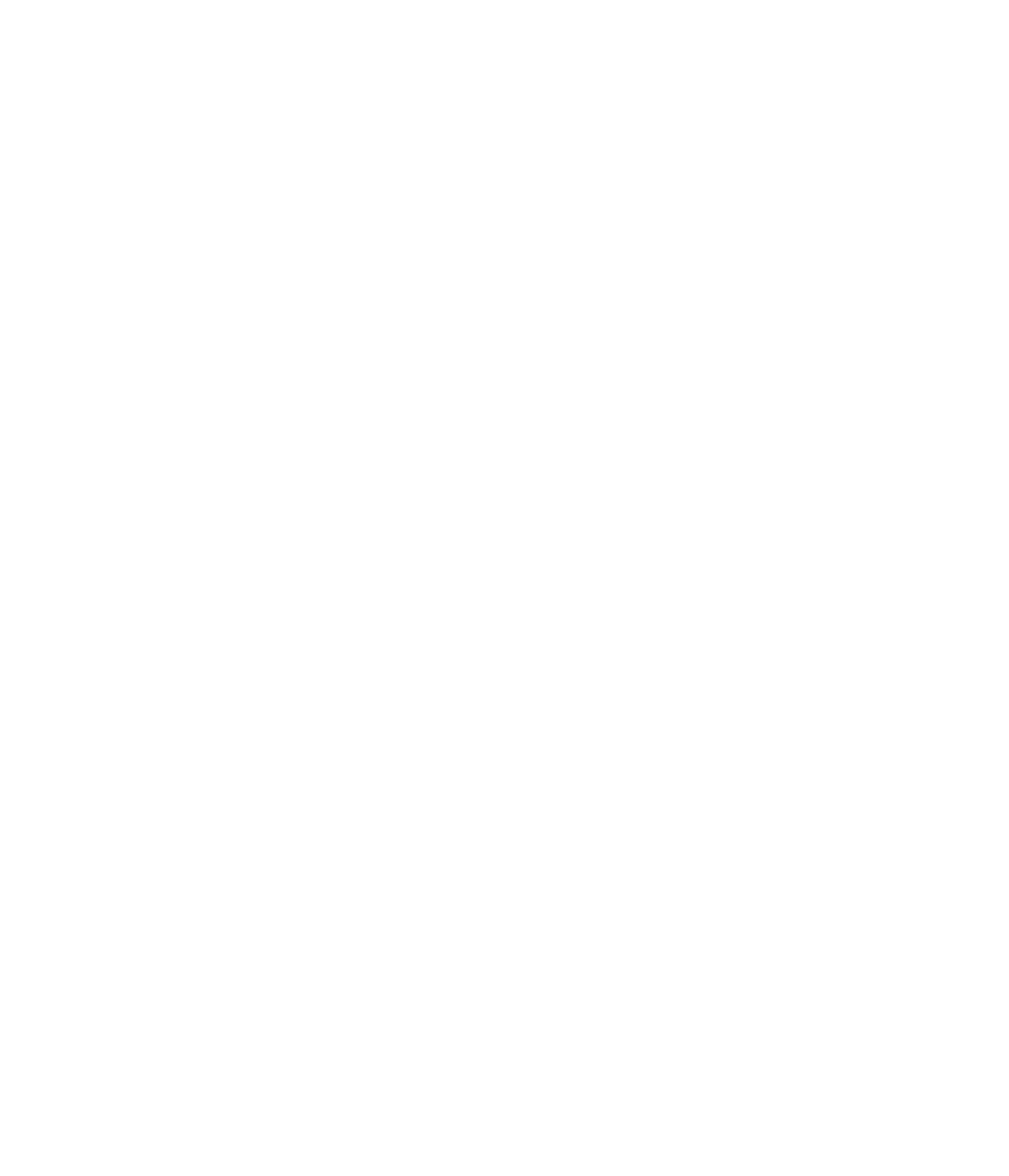 Turners Automotive Group Logo für dunkle Hintergründe (transparentes PNG)