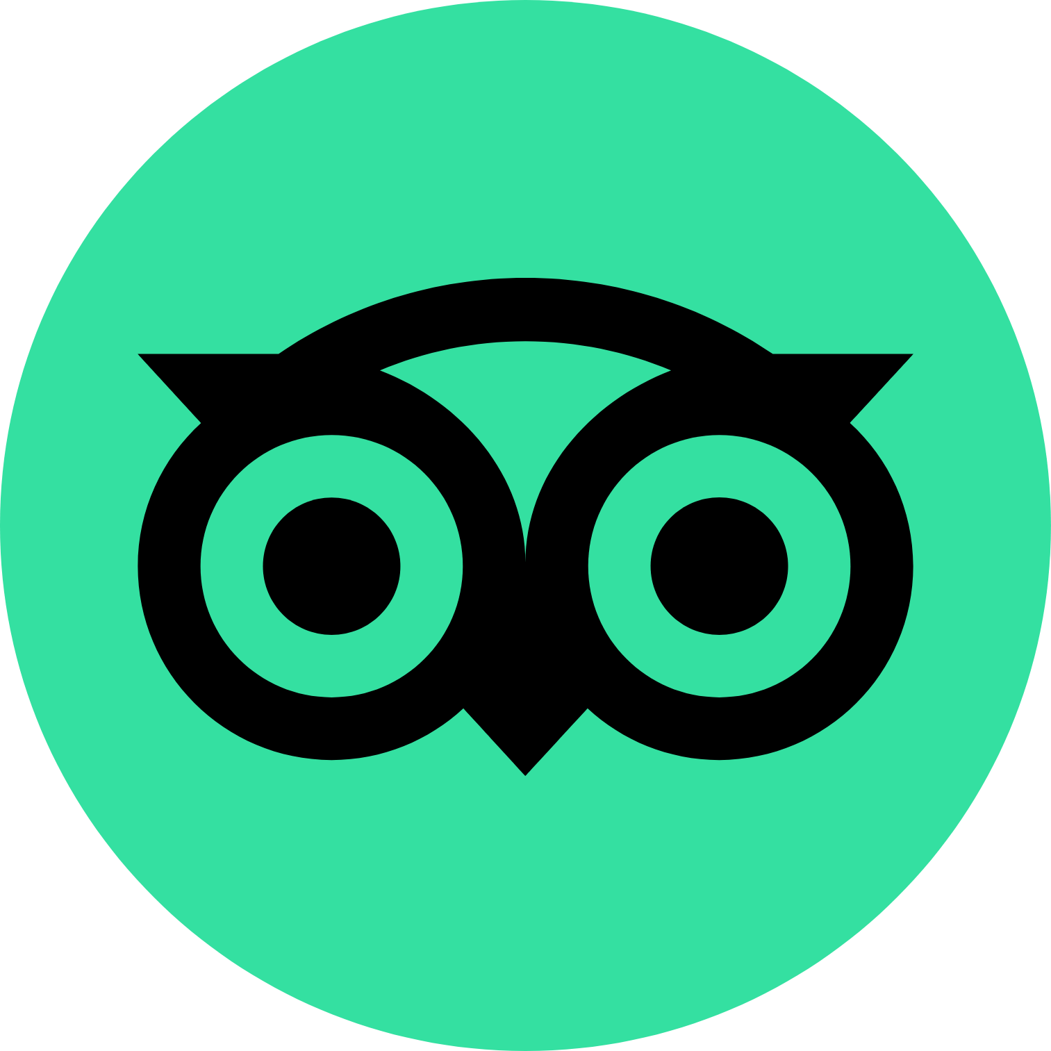 TripAdvisor logo (transparent PNG)