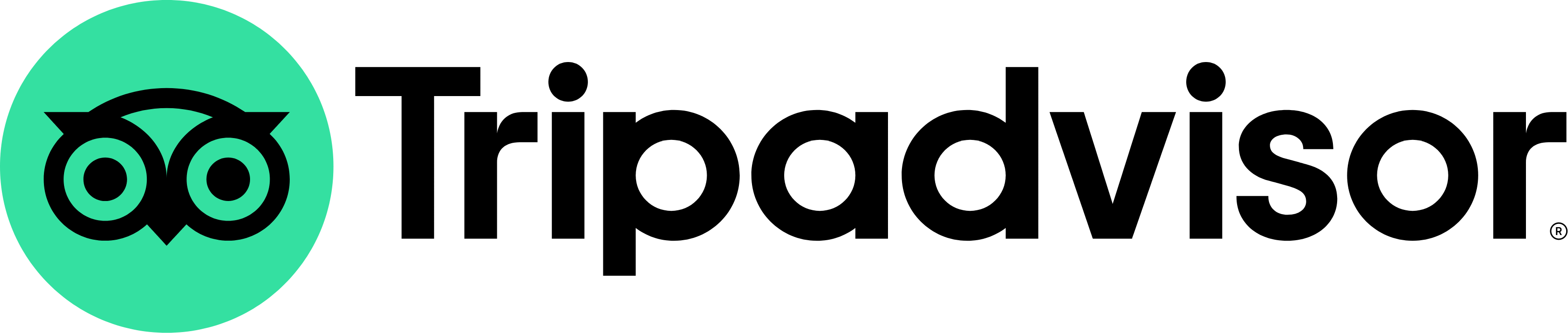 TripAdvisor logo large (transparent PNG)