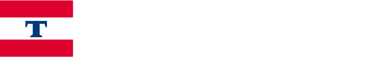 TORM logo large for dark backgrounds (transparent PNG)