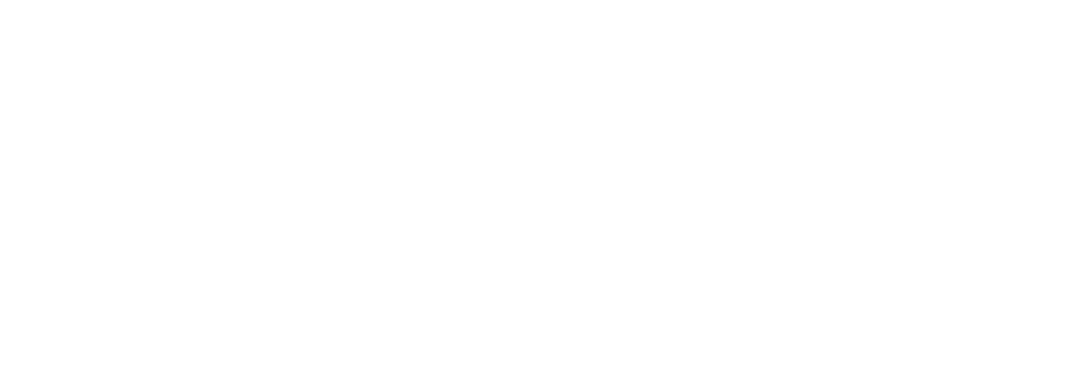 Ternium Argentina logo grand pour les fonds sombres (PNG transparent)