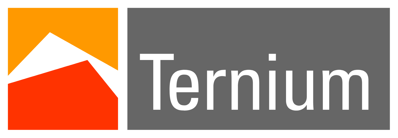 Ternium
 logo large (transparent PNG)