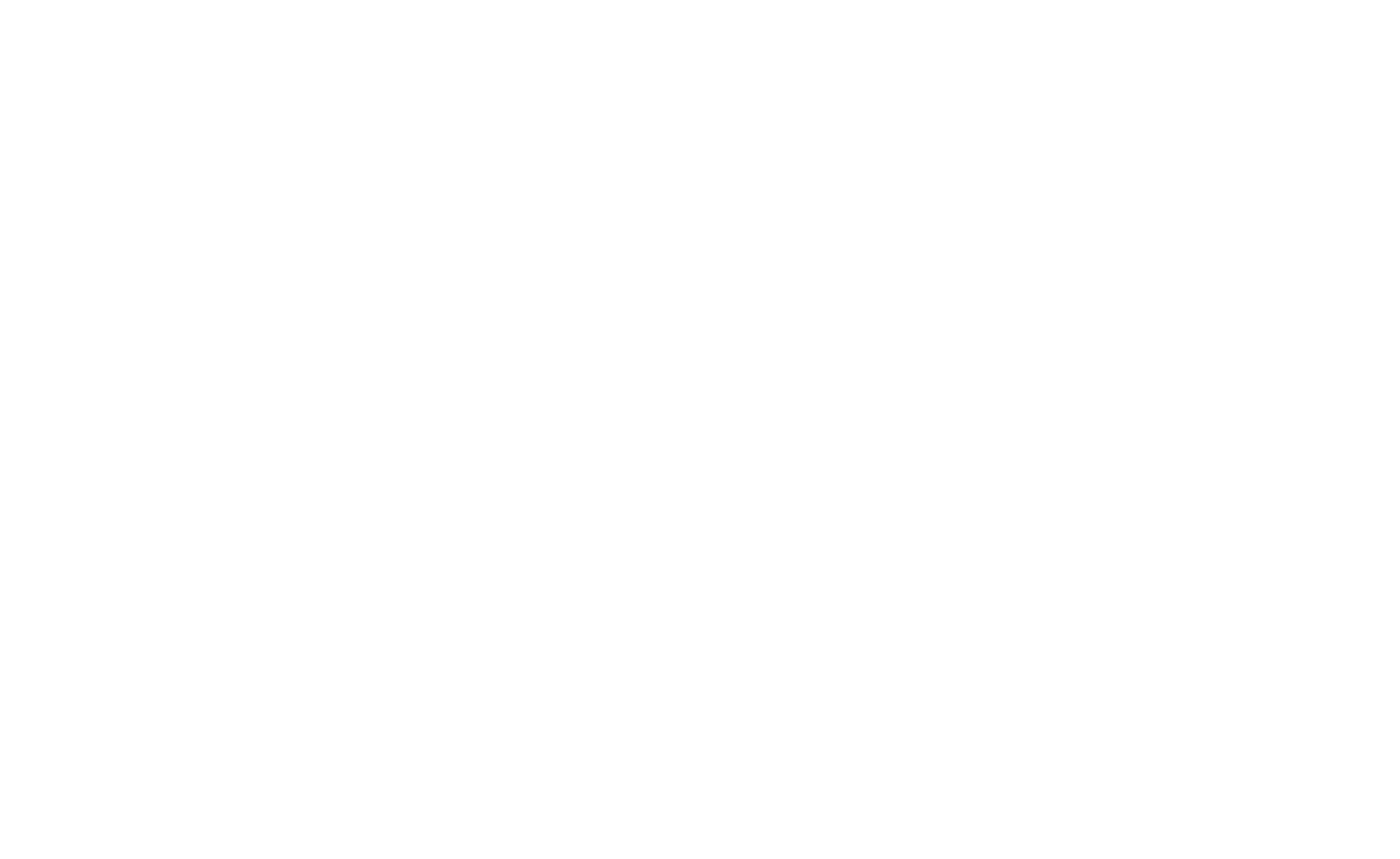Nokian Tyres
 Logo für dunkle Hintergründe (transparentes PNG)