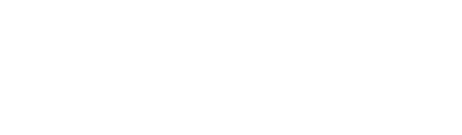 Nokian Tyres
 logo large for dark backgrounds (transparent PNG)