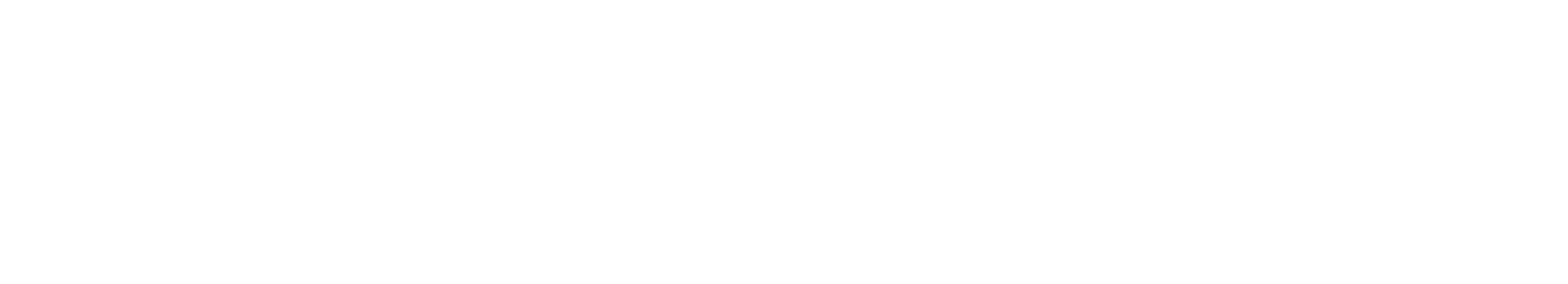 United Airlines Holdings
 logo large for dark backgrounds (transparent PNG)