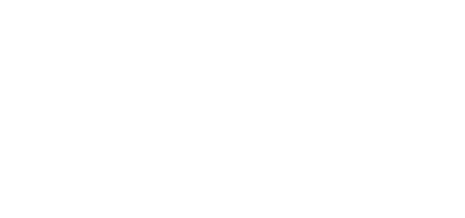 U.S. Physical Therapy logo large for dark backgrounds (transparent PNG)