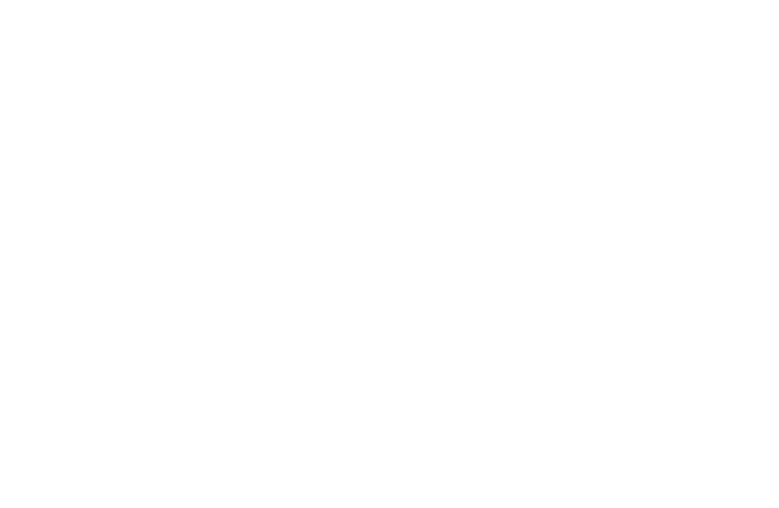 Value Line logo large for dark backgrounds (transparent PNG)