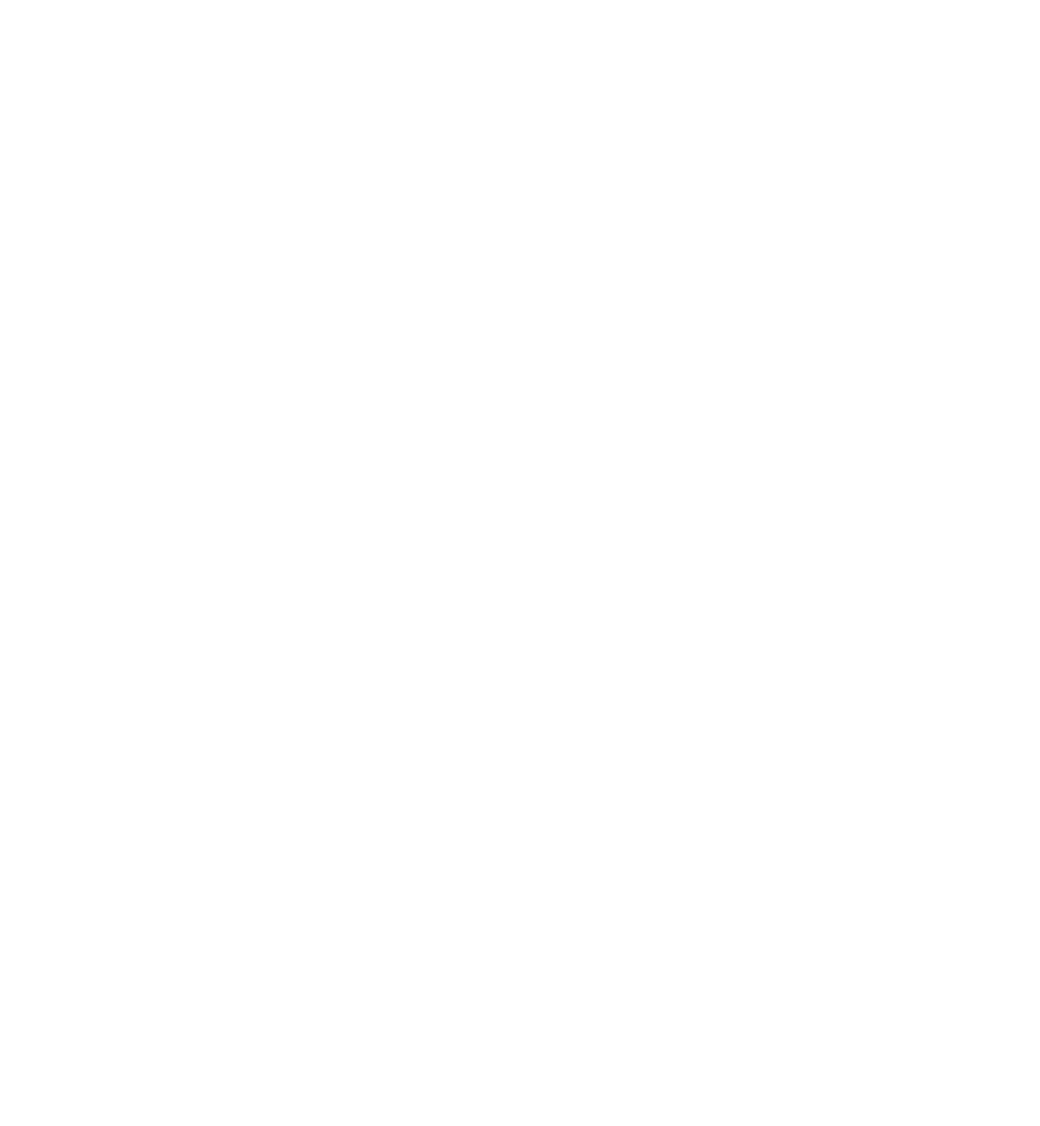 Village Bank and Trust Financial logo on a dark background (transparent PNG)