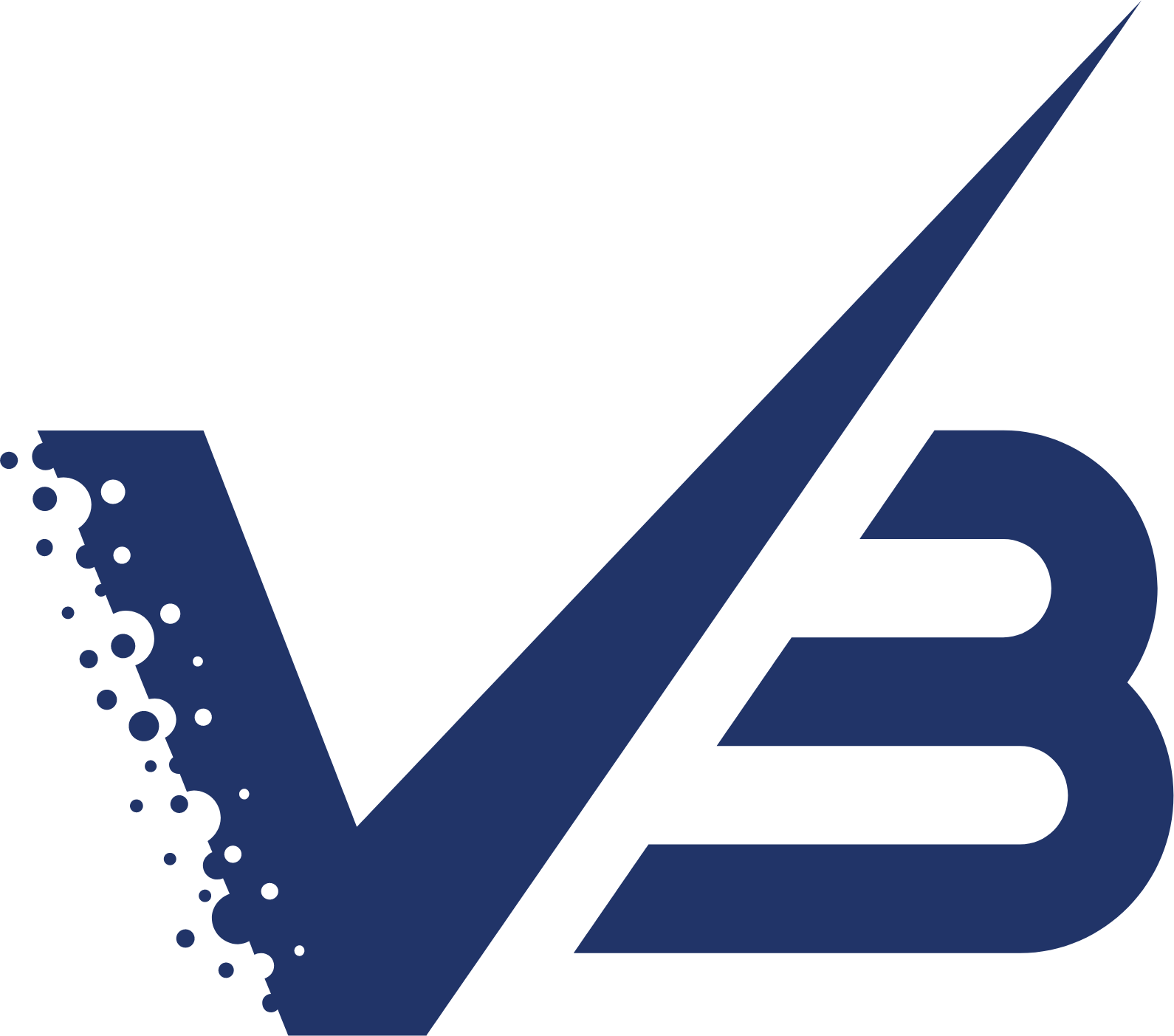 Varun Beverages
 logo (transparent PNG)