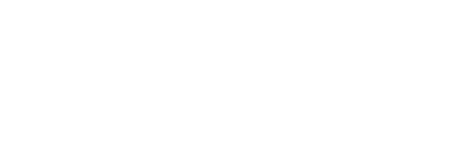 Veritex Holdings
 logo grand pour les fonds sombres (PNG transparent)