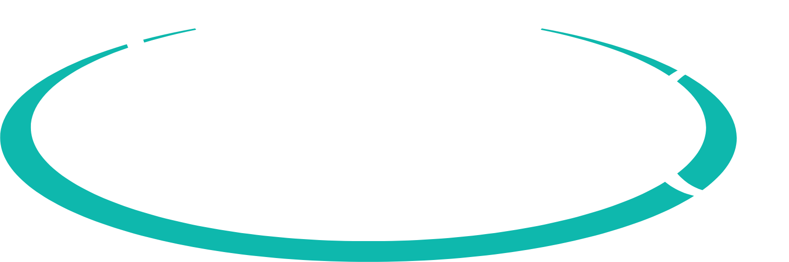 Veeco
 logo pour fonds sombres (PNG transparent)