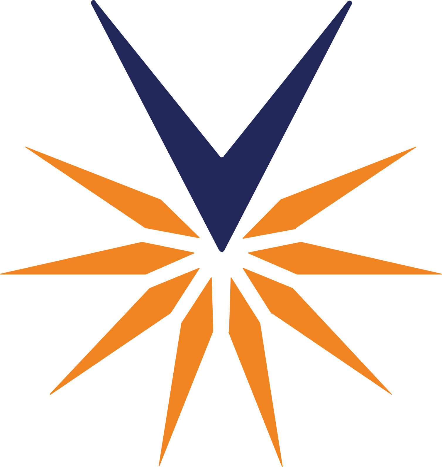 Velocity Financial logo (transparent PNG)