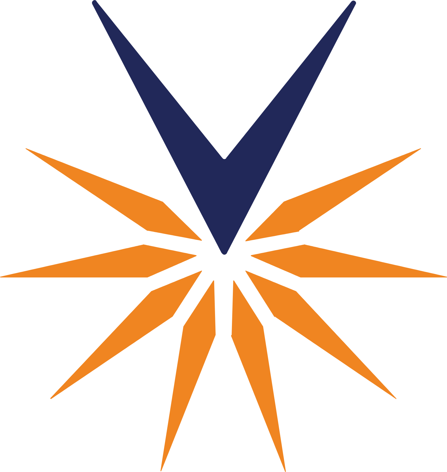 Velocity Financial Logo (transparentes PNG)