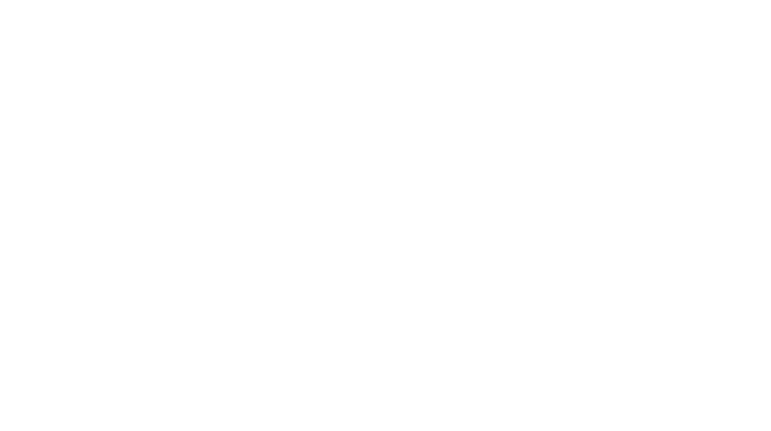 Veru logo large for dark backgrounds (transparent PNG)