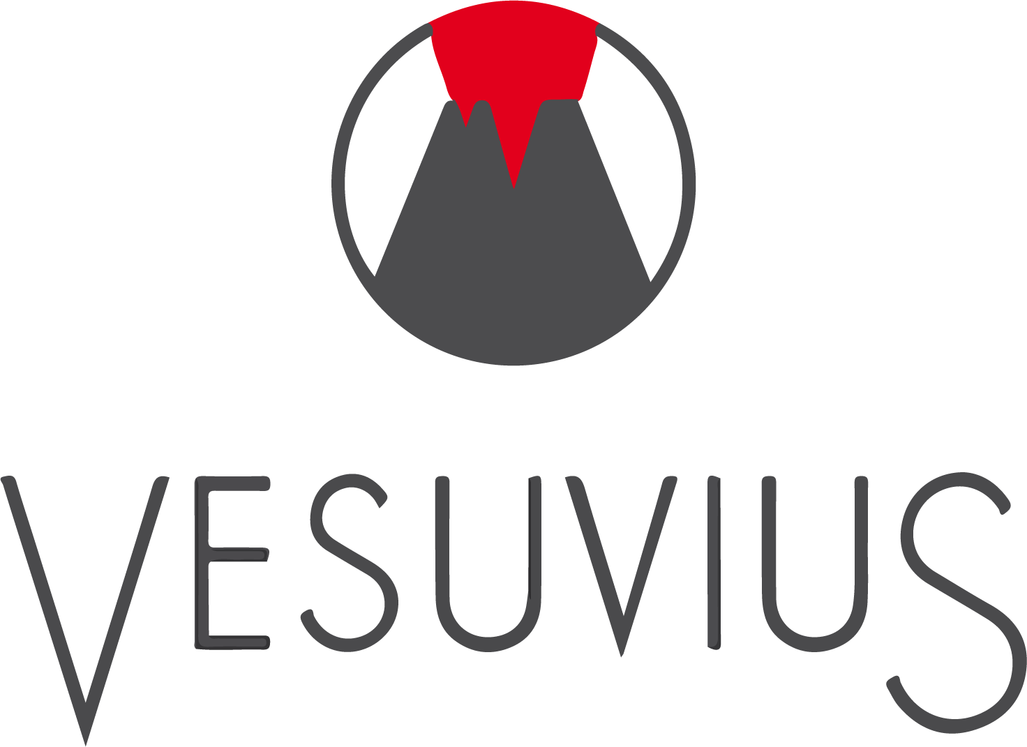 Vesuvius India
 logo large (transparent PNG)