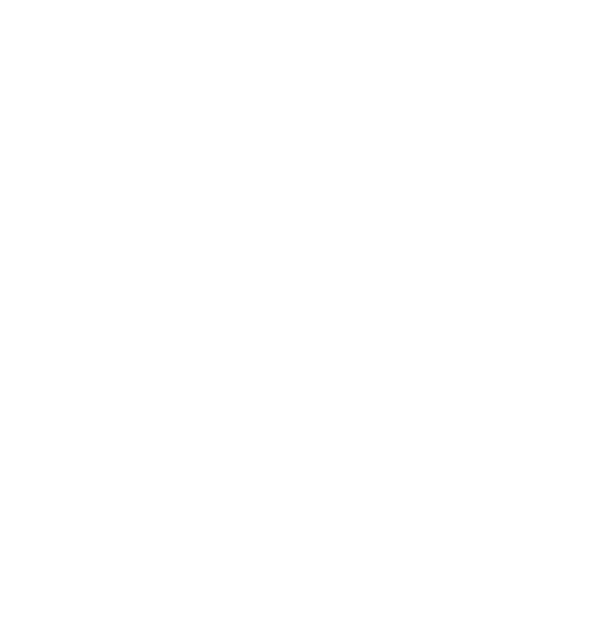 Vetoquinol logo for dark backgrounds (transparent PNG)
