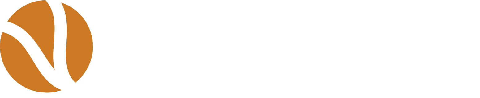 Versigent logo grand pour les fonds sombres (PNG transparent)