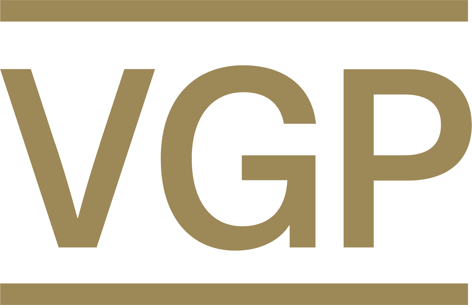 VGP NV Logo (transparentes PNG)
