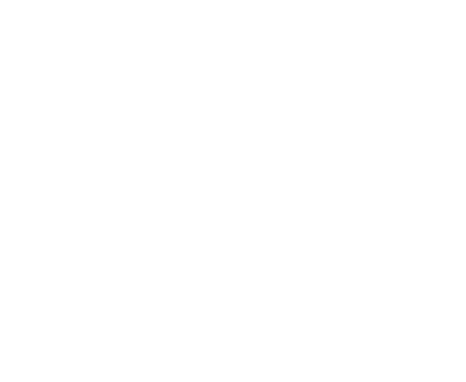 Vianini logo on a dark background (transparent PNG)