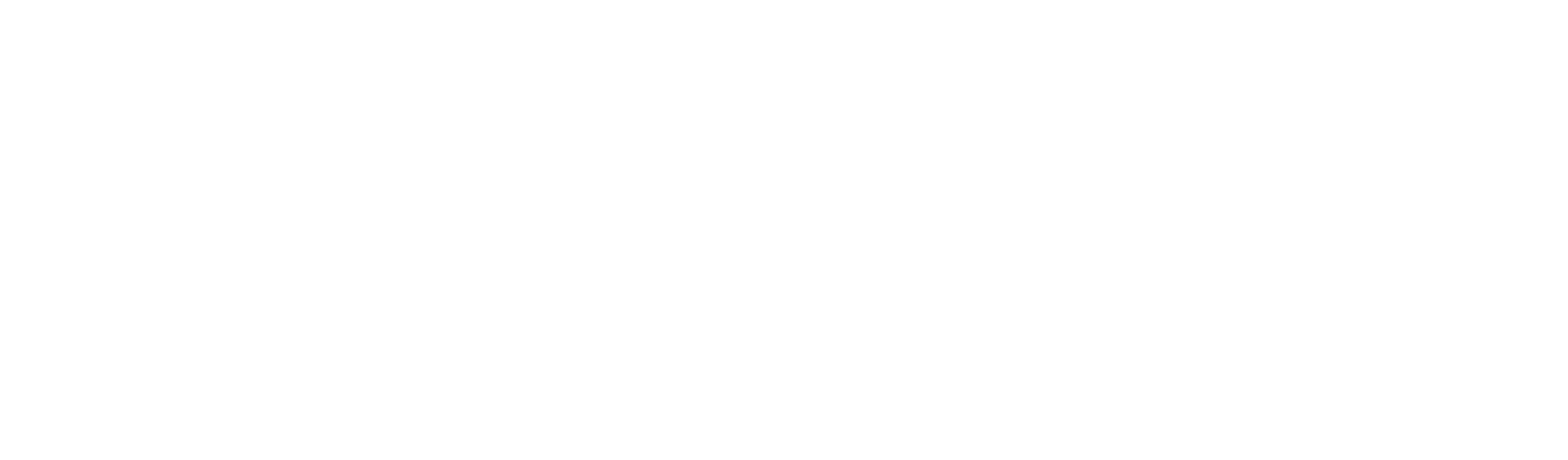 Vianini logo fulle size on a dark background (transparent PNG)