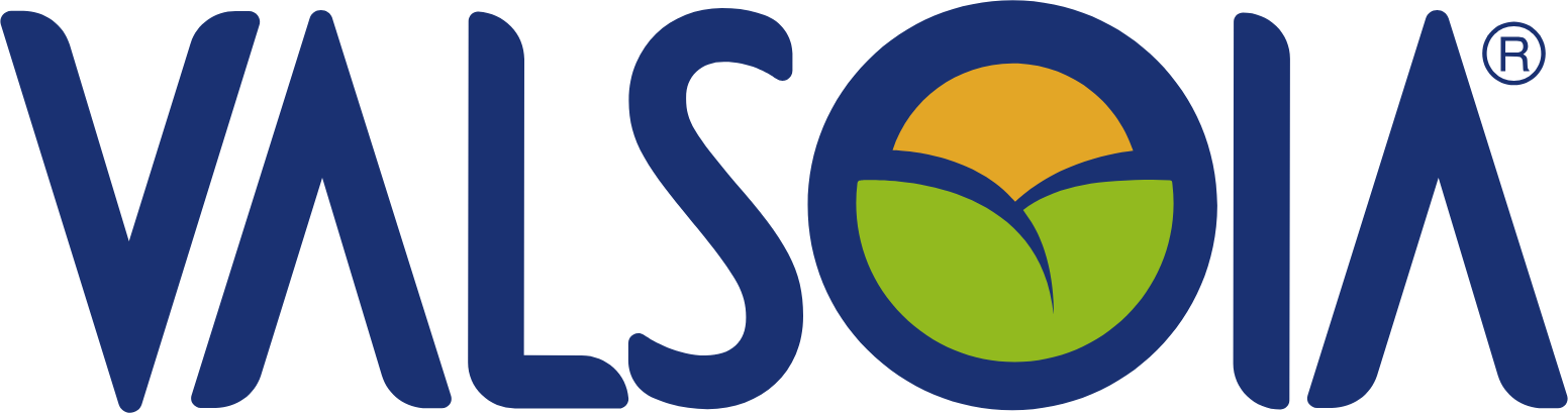 Valsoia S.p.A. logo large (transparent PNG)
