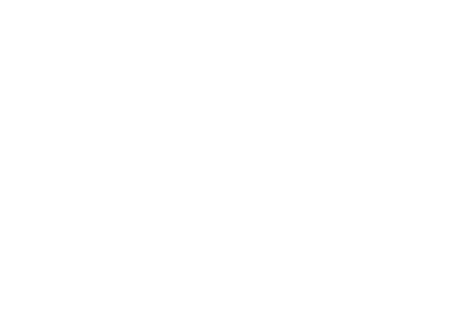 Vince Holding logo for dark backgrounds (transparent PNG)