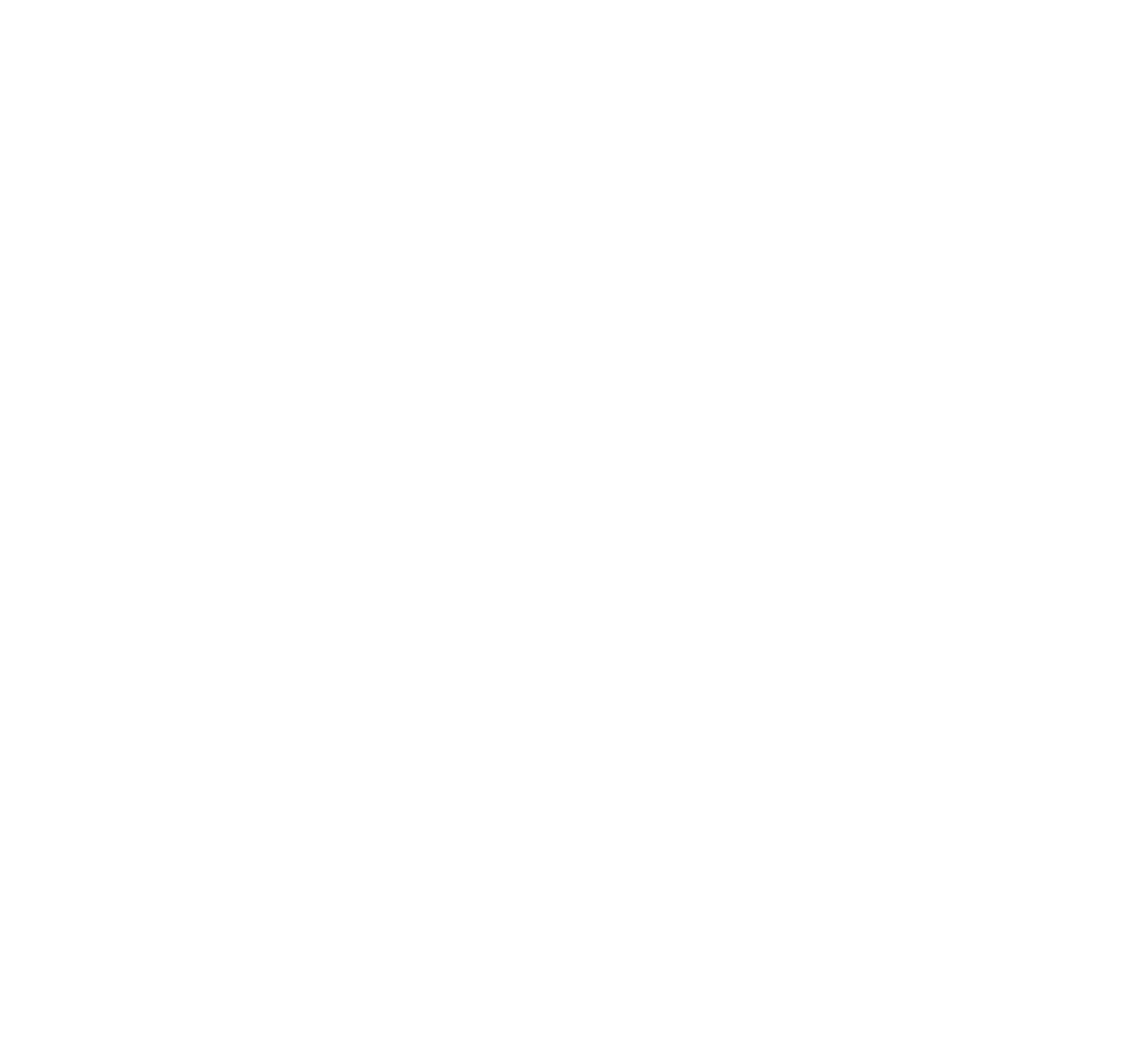 Veoneer Logo für dunkle Hintergründe (transparentes PNG)