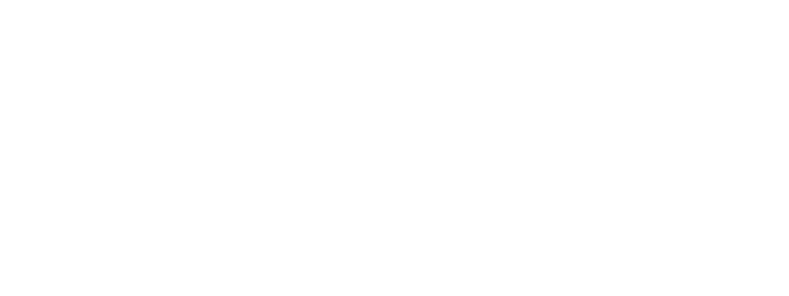 5N Plus logo grand pour les fonds sombres (PNG transparent)