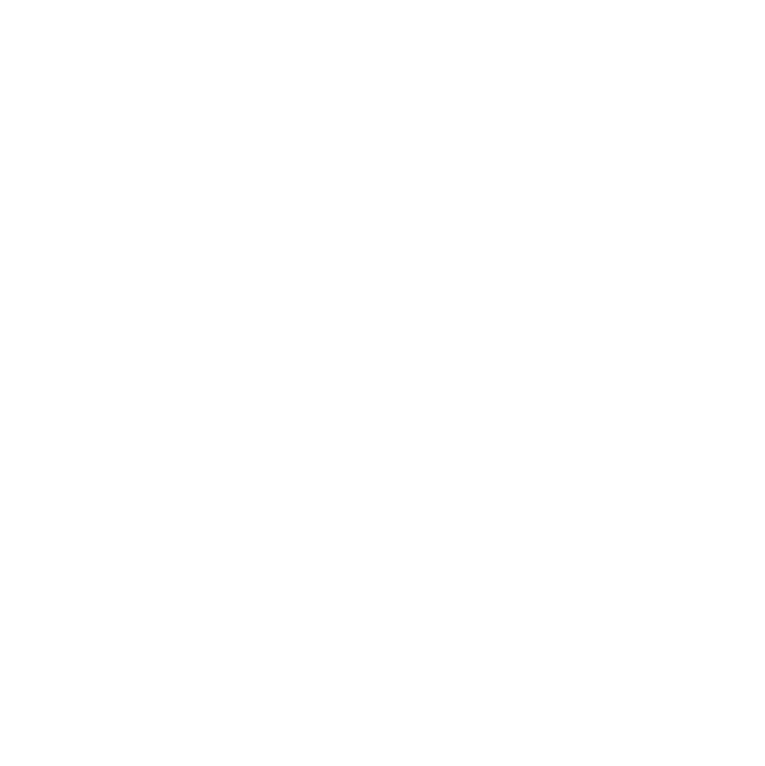 VP Bank Logo für dunkle Hintergründe (transparentes PNG)