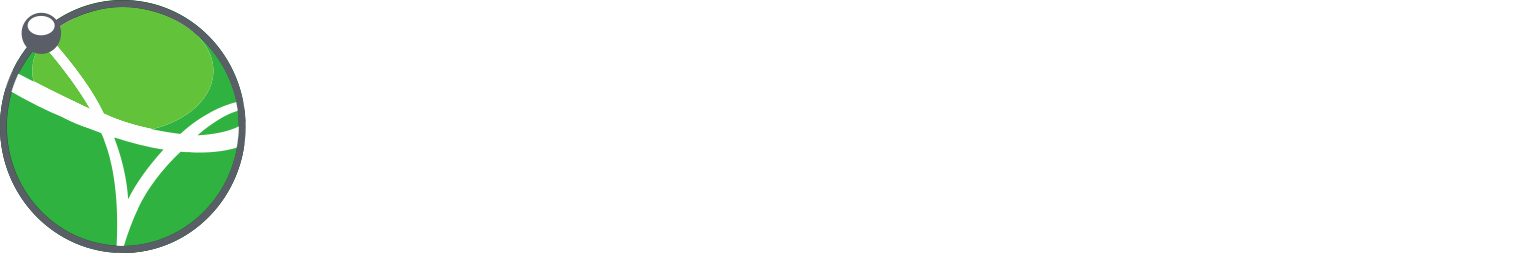 ViewRay logo large for dark backgrounds (transparent PNG)