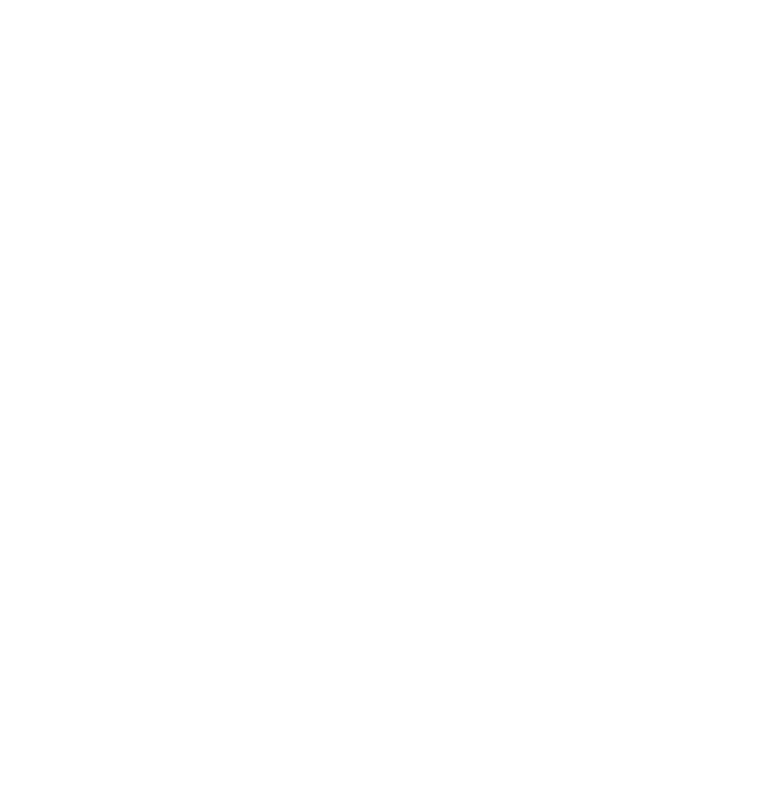 Verint Systems
 logo for dark backgrounds (transparent PNG)