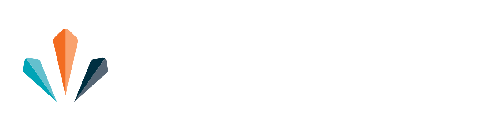 Veren logo fulle size on a dark background (transparent PNG)