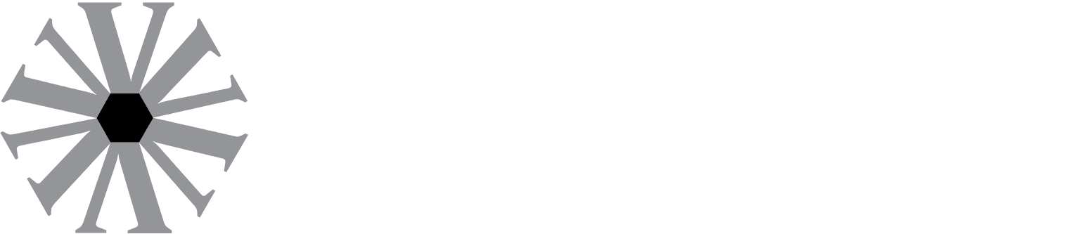 Virtus Investment Partners Logo groß für dunkle Hintergründe (transparentes PNG)