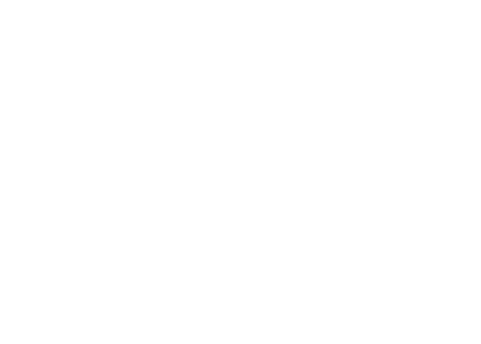 Vizsla Silver Logo für dunkle Hintergründe (transparentes PNG)